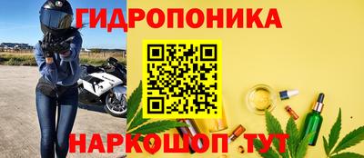 шишки Краснокаменск