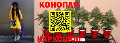 шишки Краснокаменск
