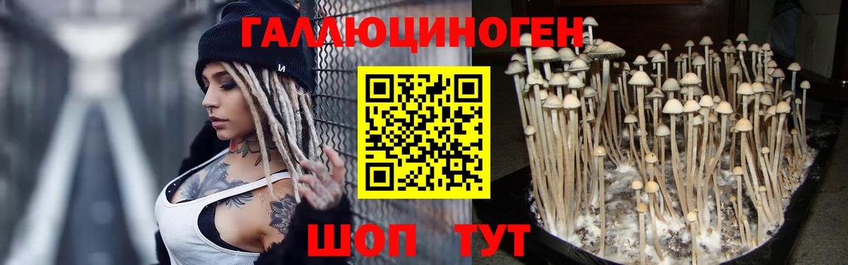 Галлюциногенные грибы GOLDEN TEACHER  Вход с VPN  Карталы 