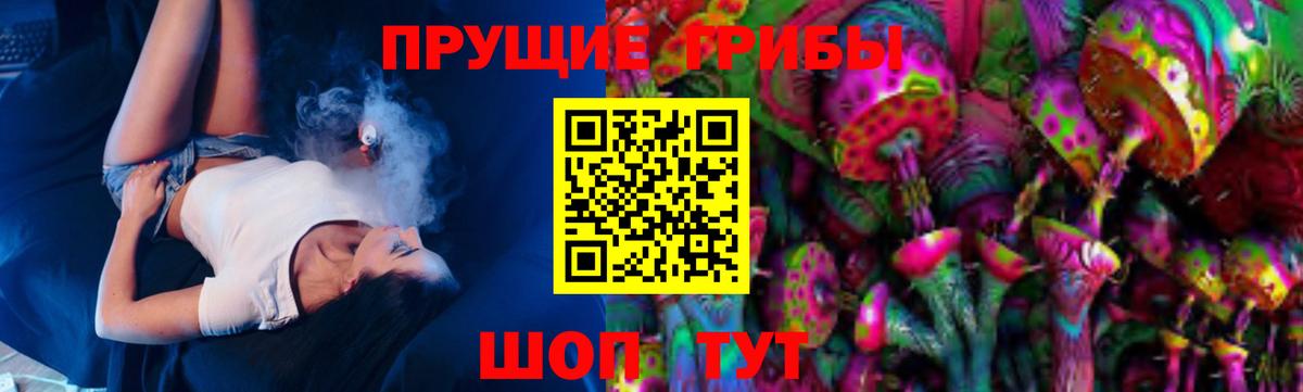Псилоцибиновые грибы прущие грибы Карталы